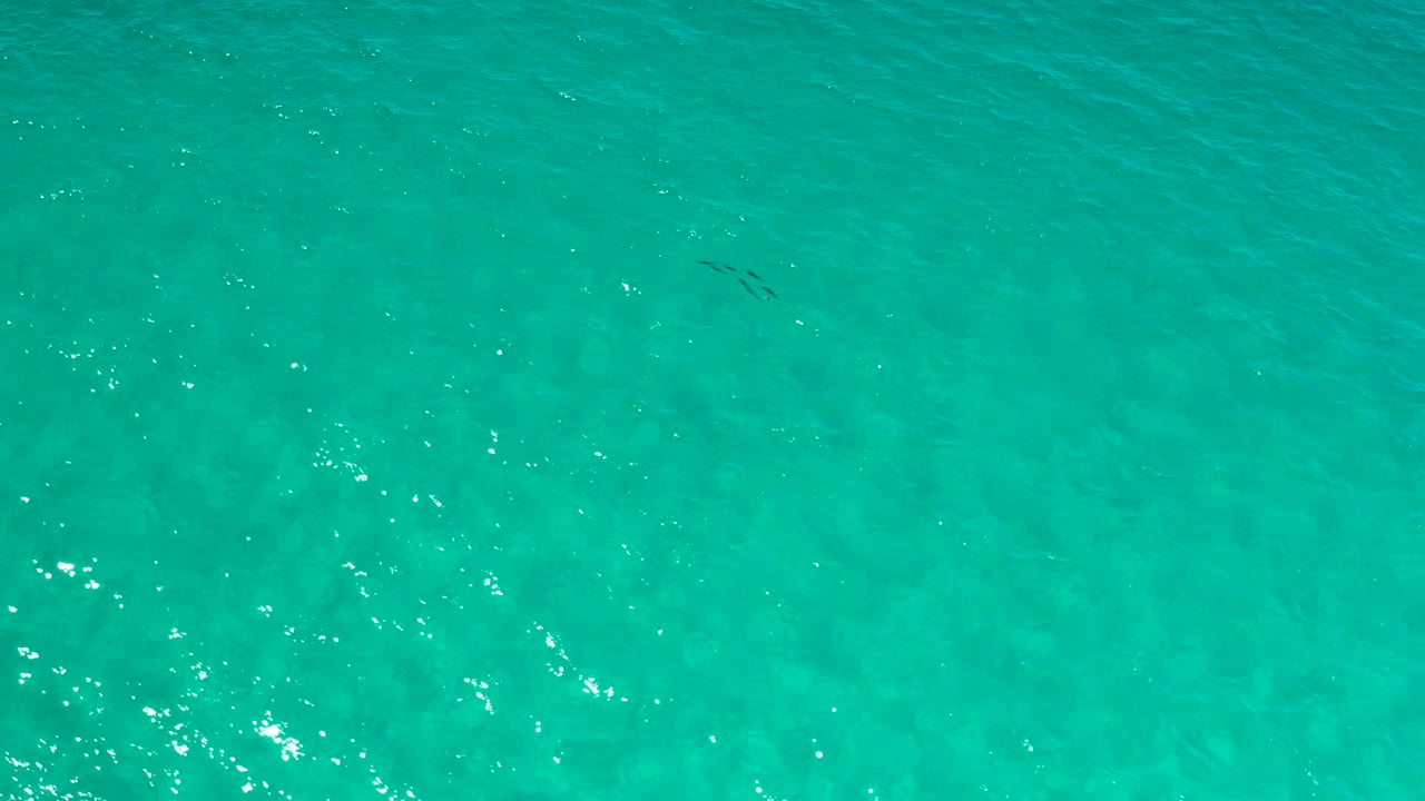 Small dark fish appear near the upper-left area of clear green water in Los Cabos, Mexico, with scattered sun flecks and no visible people.