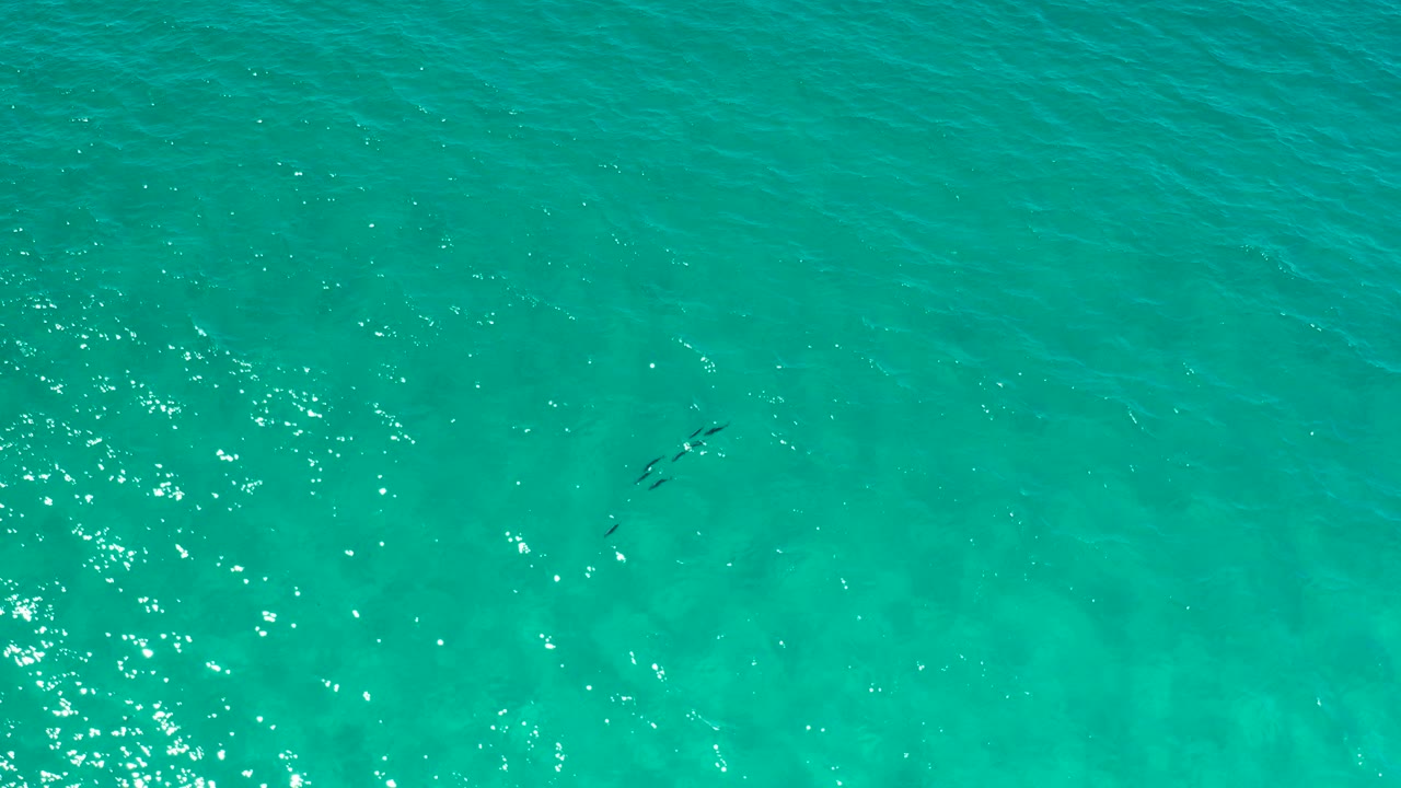 Straight-down view of turquoise ocean water in Los Cabos, Mexico, with bright surface sparkle near the left side, faint underwater color shifts, small dark fish shapes, and no visible people.