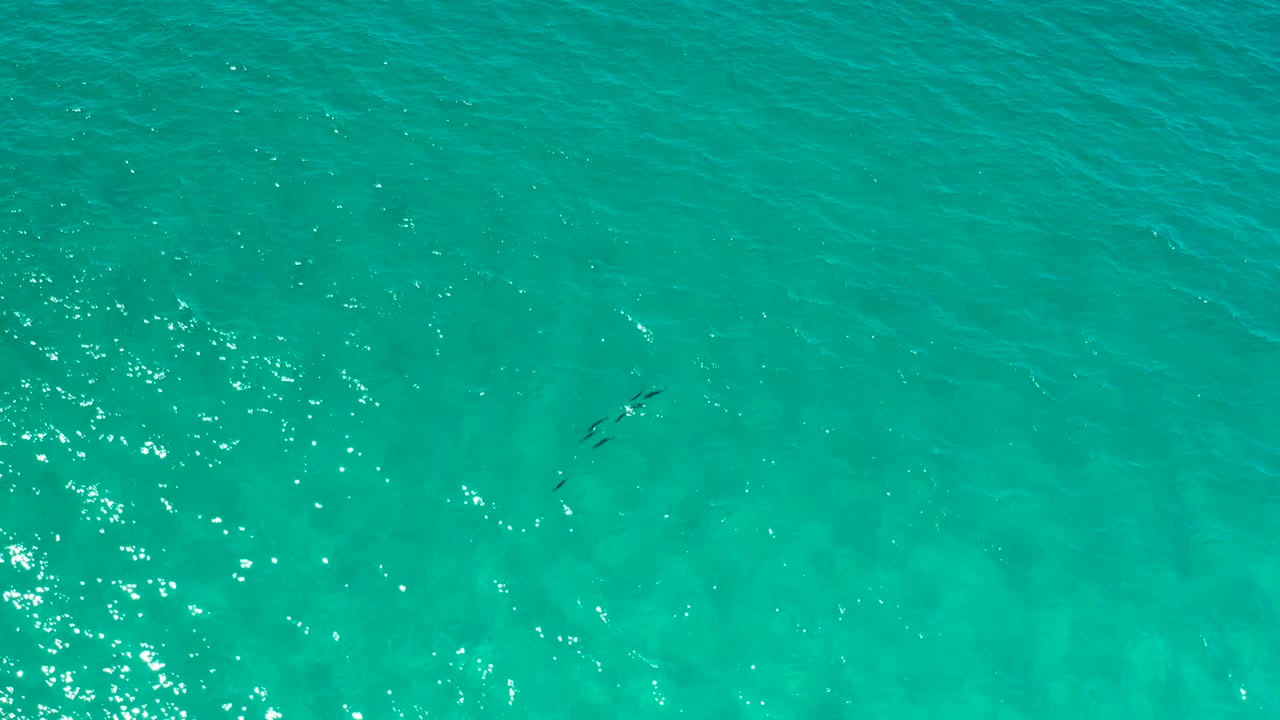 Overhead Los Cabos ocean frame with green-blue water, a vertical cluster of glittering sun reflections, subtle ripples, faint dark fish shapes near center, and no visible people.