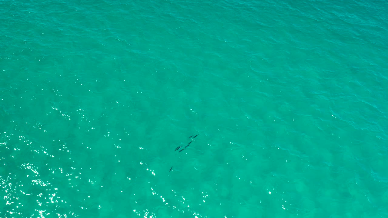 Turquoise sea surface with bright sparkle and darker underwater patches.