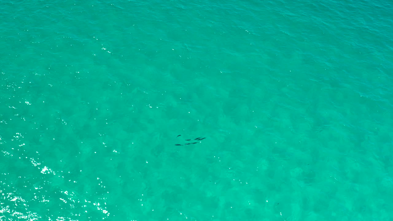 Overhead view of greenish turquoise ocean water in Los Cabos, Mexico, with small dark shapes near the upper left area and no visible people.