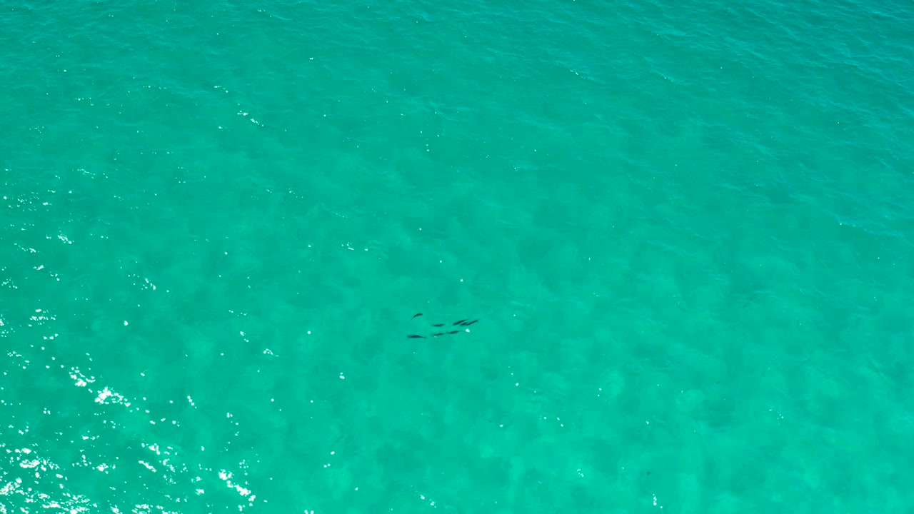 Overhead Los Cabos ocean water fills the frame, with ripples, soft sunlight, faint seabed variation, and no visible people.