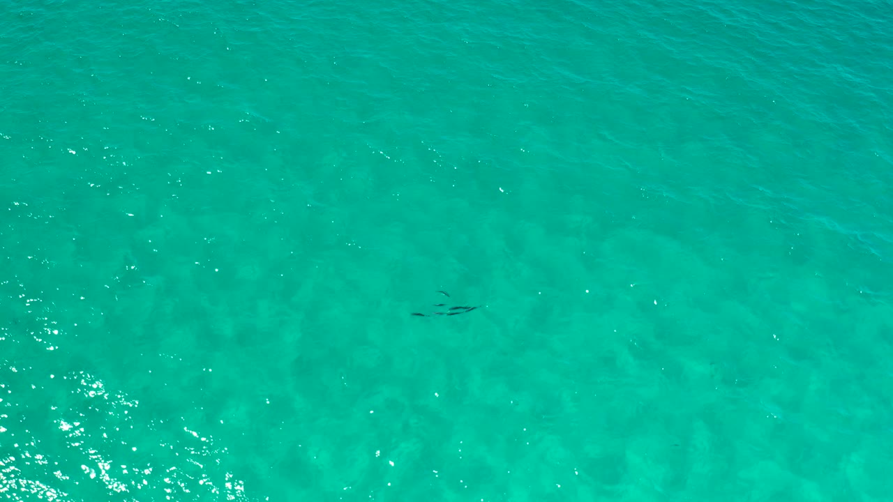 A high overhead frame shows turquoise water in Los Cabos, Mexico, with a small dark cluster under the surface near the upper right and no visible people.