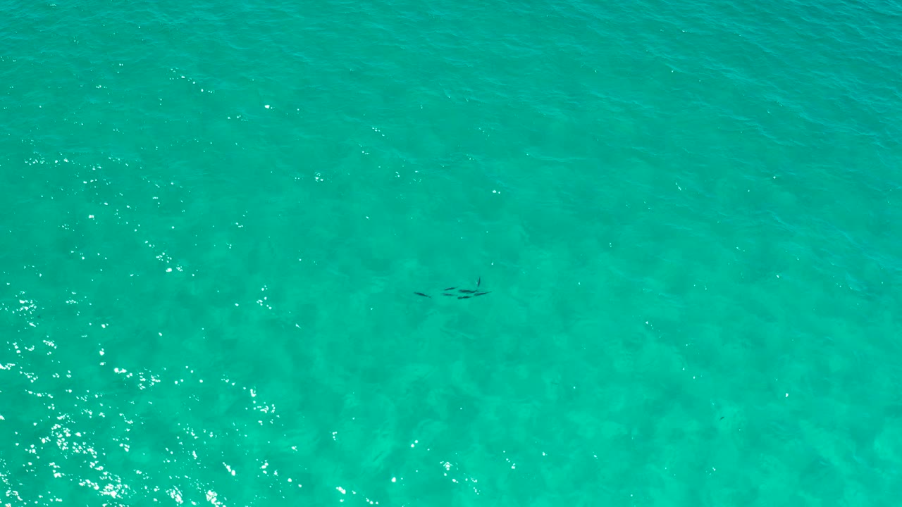 Overhead green ocean water fills the frame, with bright ripple highlights, faint underwater marks on the left, and no visible people.