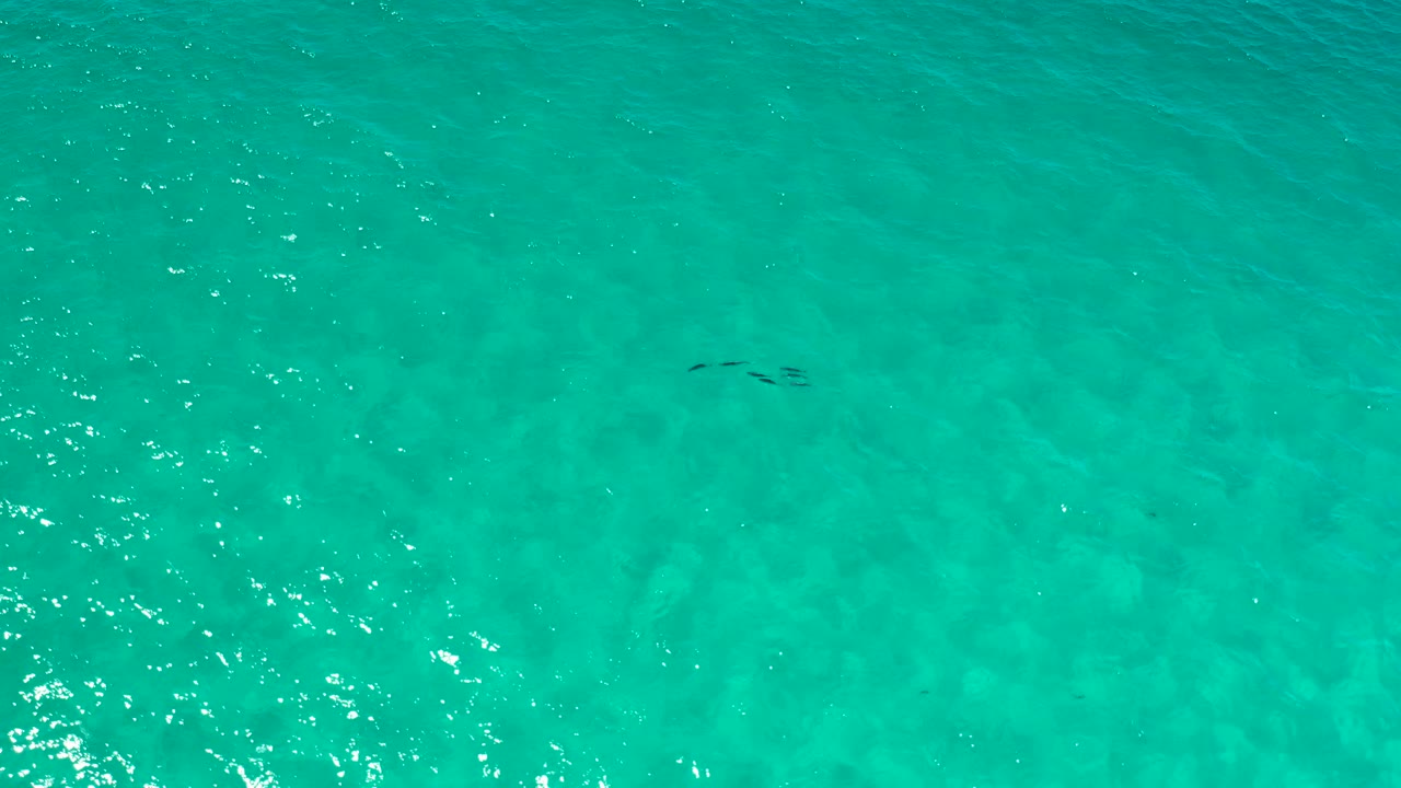 Aqua sea surface in Los Cabos, Mexico, seen from above with bright surface glints and a short line of dark fish-like shapes near the upper right, no visible people.