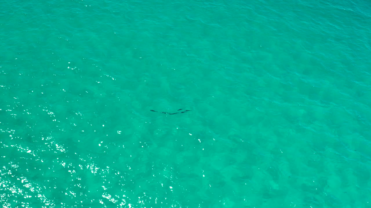 Overhead view of turquoise clear water in Los Cabos, Mexico, with scattered sunlight reflections near the left side and no visible people.