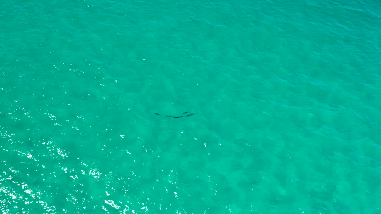 Aqua ocean surface in Los Cabos, Mexico, with a faint dark underwater streak near the upper center, soft ripples, and no visible people.