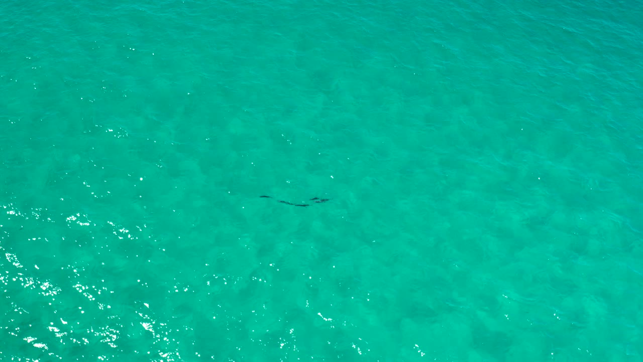 Turquoise water in Los Cabos, Mexico, fills the frame with brighter sun reflections in the lower left area and no visible people or land.