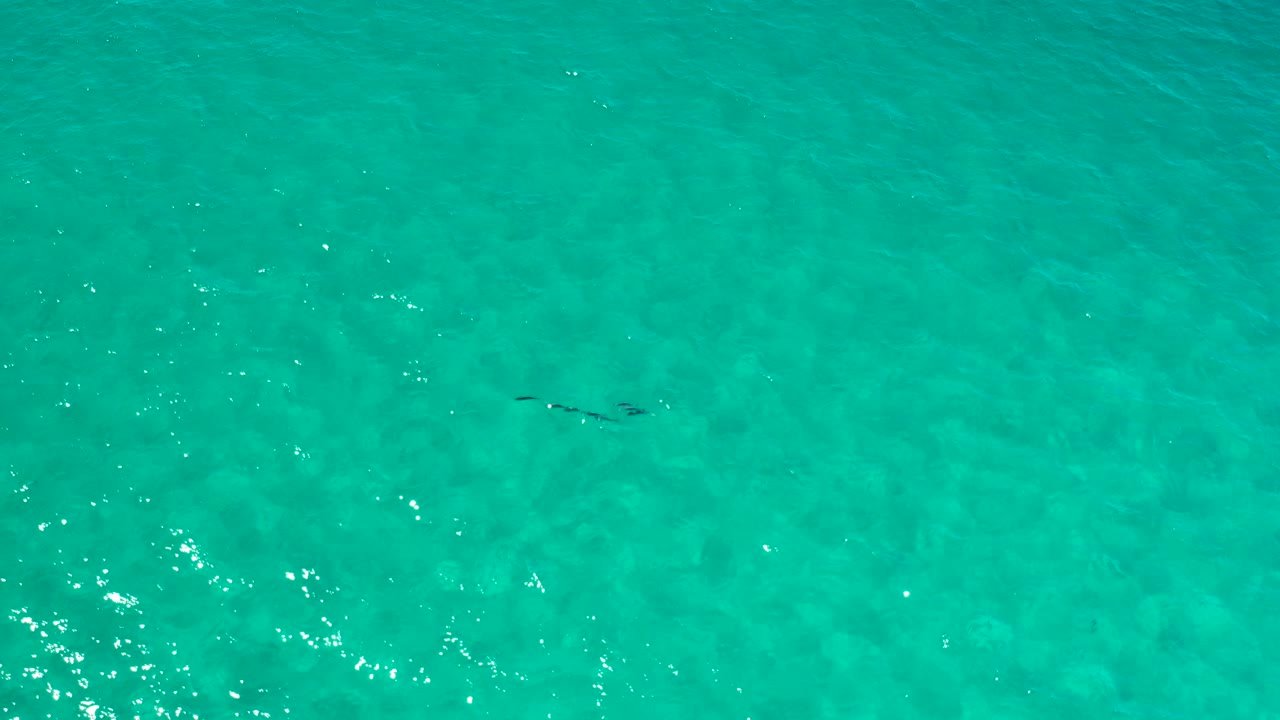Clear teal water in Los Cabos, Mexico, with faint darker subsurface areas, fine wind ripples, and no visible people, boats, or shoreline.