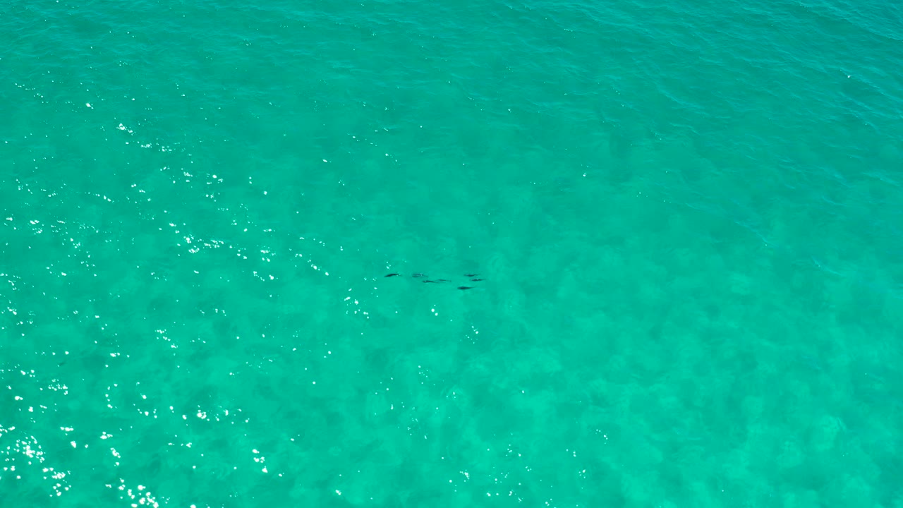 Overhead view of turquoise Los Cabos water with small ripples, bright surface highlights, faint underwater texture, and no visible people.