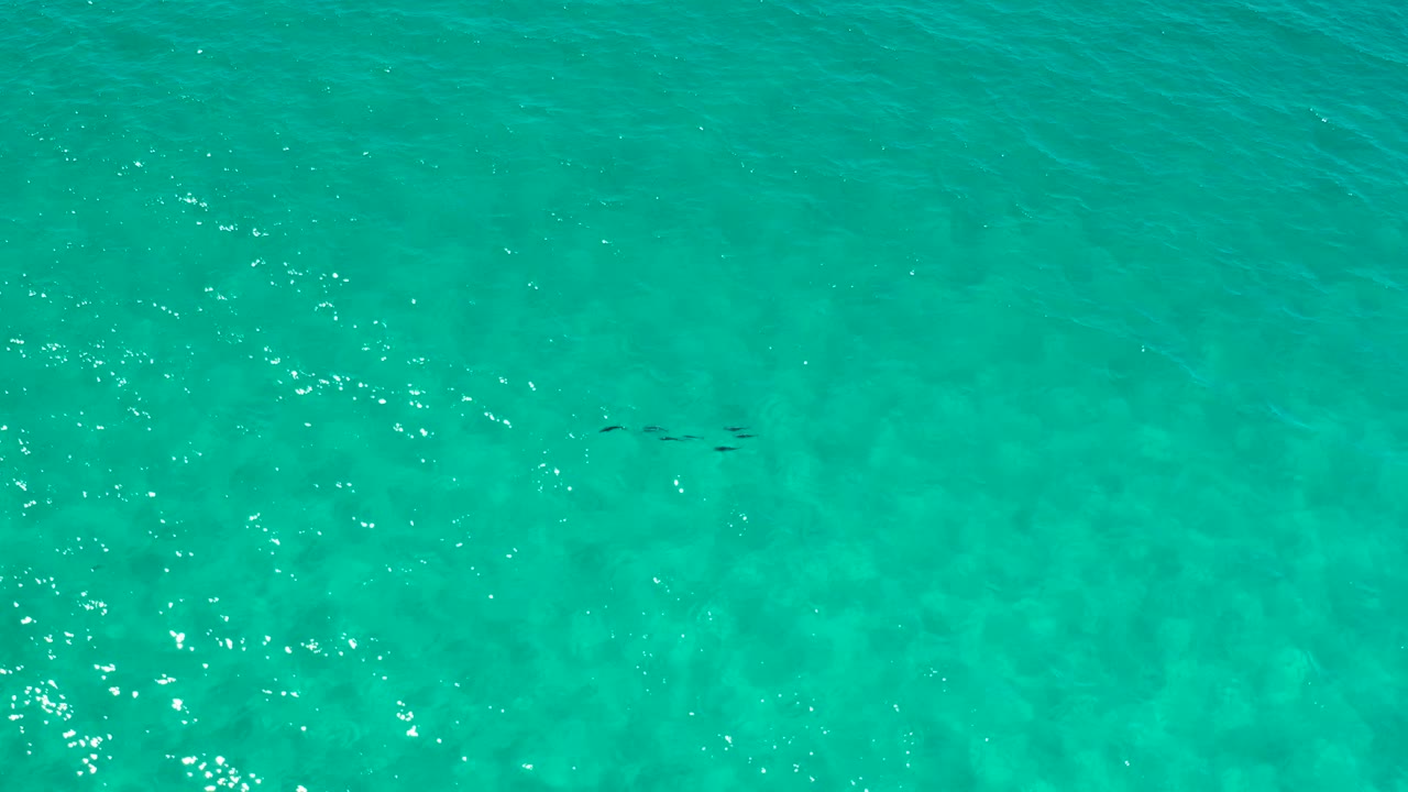 Overhead Los Cabos water frame with a broad blue-green surface, scattered sparkle on the left side, faint seabed pattern, and no visible people.