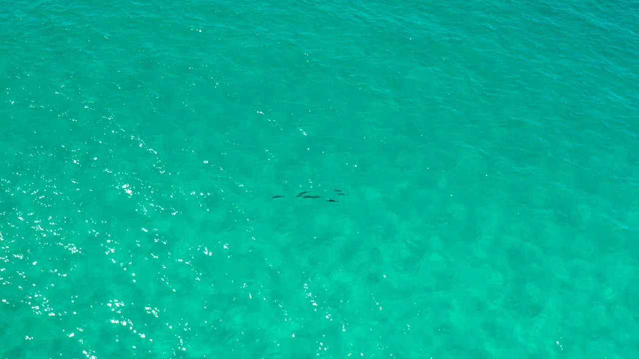 Overhead view of Los Cabos turquoise water with a small dark submerged shape near the upper middle, soft ripples, and no visible people.