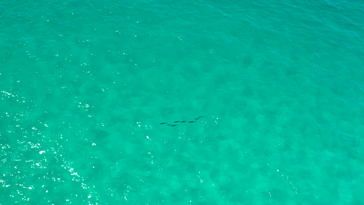 Overhead view of turquoise green water in Los Cabos, Mexico, with scattered sunlight reflections and no visible people.