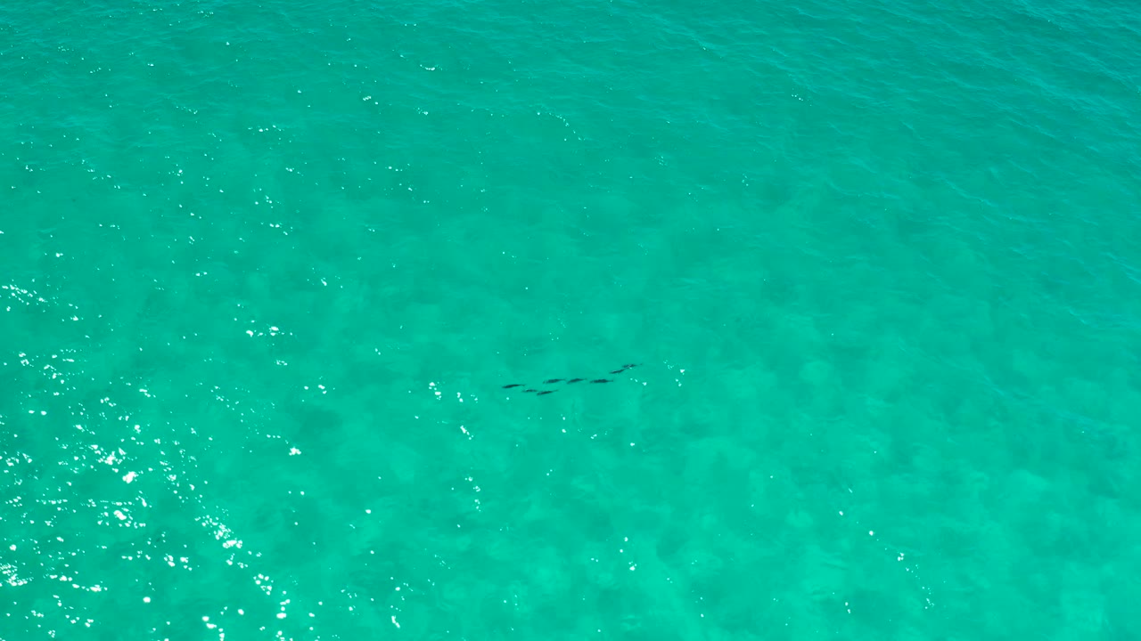 Aerial view of green-blue ocean water in Los Cabos, Mexico, with a faint dark underwater streak near the lower left and no visible people.