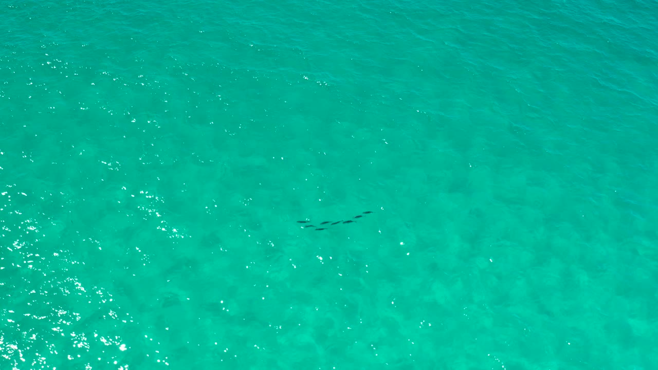 Overhead Los Cabos water frame showing turquoise surface ripples, pale seabed texture, and no visible people.