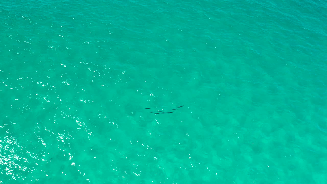 Aerial frame of clear green water in Los Cabos, Mexico, with brighter clustered sun reflections and no visible people.
