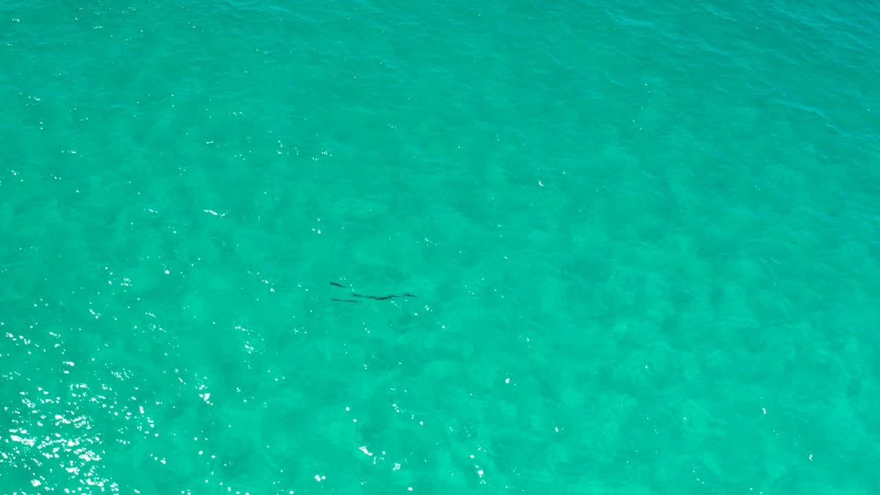 Clear teal ocean water with small ripples and bright reflections.