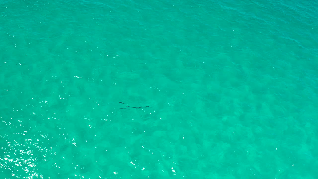 Clear Los Cabos ocean water fills the frame, with a small dark shape near the middle, light sparkle on the surface, and no visible people.