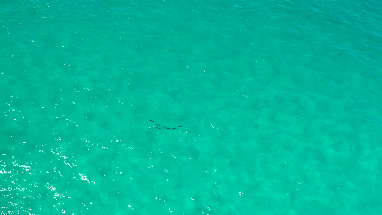 Top-down frame of turquoise water in Los Cabos, Mexico, with scattered bright reflections, gentle ripples, and no visible people or shoreline.