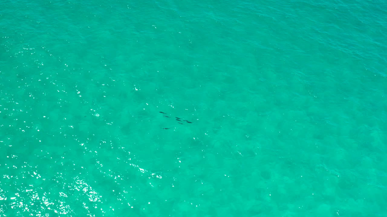 Clear turquoise-green water in Los Cabos with sun flecks across the surface and a small fish cluster slightly left of center, with no visible people.