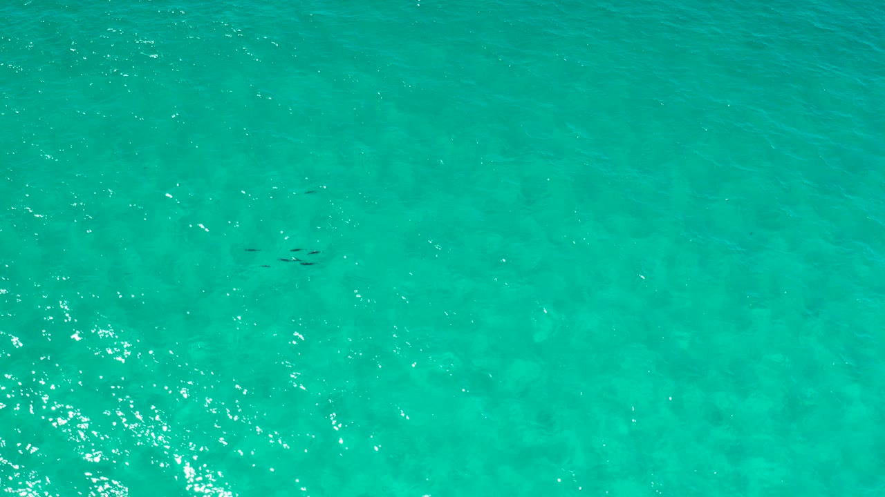Turquoise water with ripples and small sun reflections.