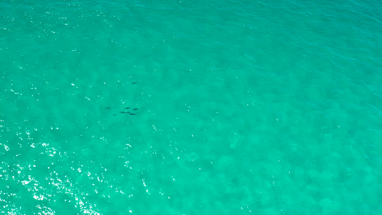 Aqua water fills the frame in Los Cabos, Mexico, with fine wind texture and subtle darker shapes beneath the surface, no visible people.