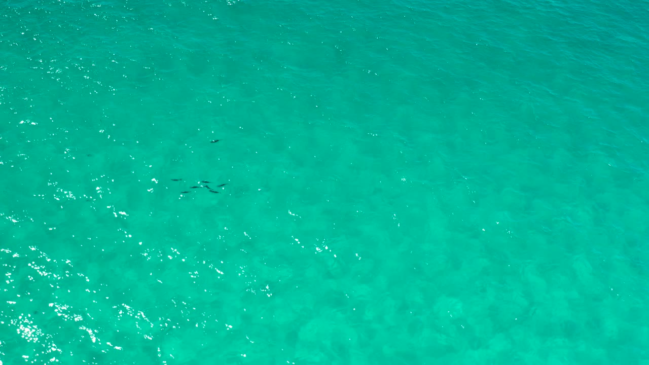 Turquoise water in Los Cabos, Mexico, shows a brighter streak of sun reflections across the rippled surface, with no visible people.
