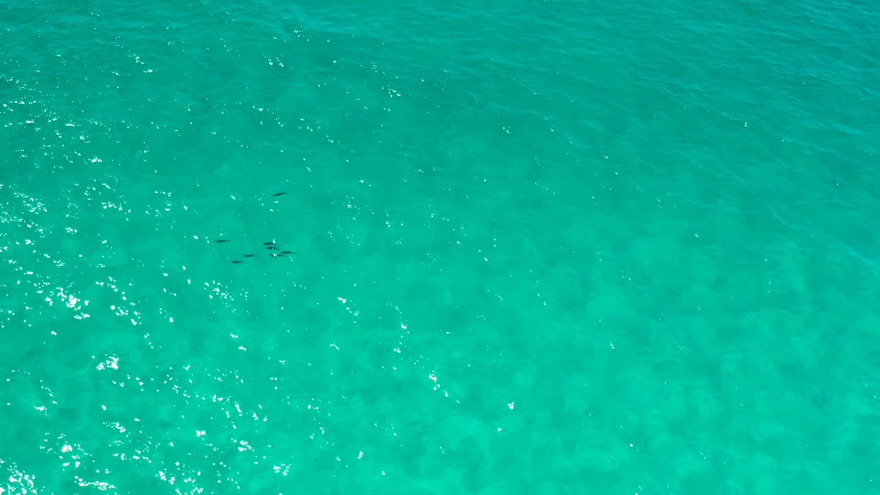 Clear teal water in Los Cabos, Mexico, fills the frame with soft ripples, faint subsurface patches, and no visible people.