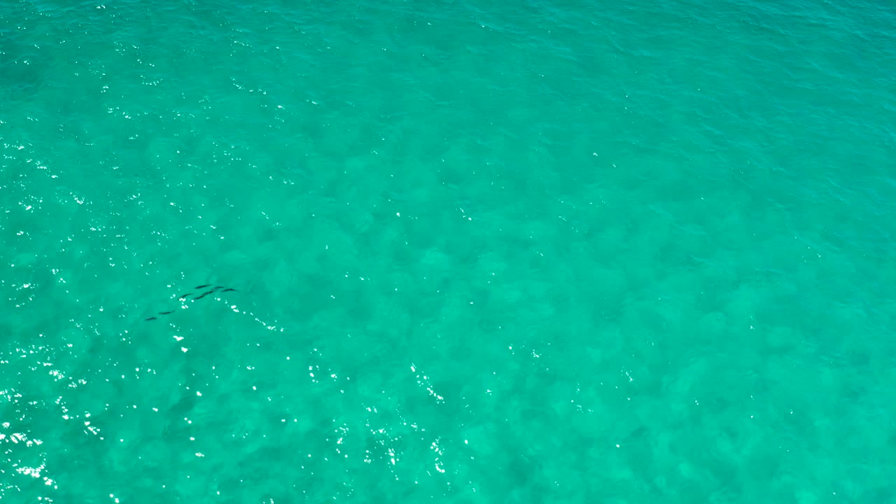Small fish are visible near the upper center of the turquoise Los Cabos water, surrounded by soft wave texture and scattered daylight sparkle, with no visible people.