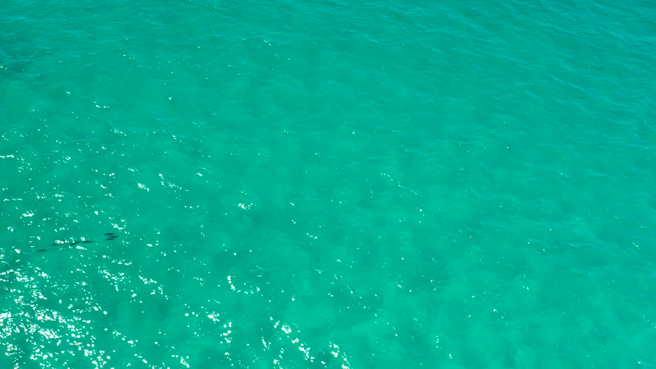 Overhead view of turquoise water in Los Cabos, Mexico, with sun sparkle and a small dark fish cluster near the lower-left area, no visible people.