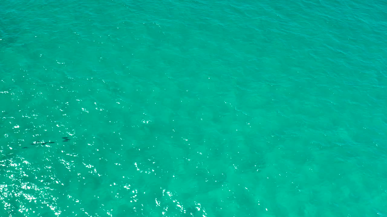 Bright turquoise water with fish near the lower middle.
