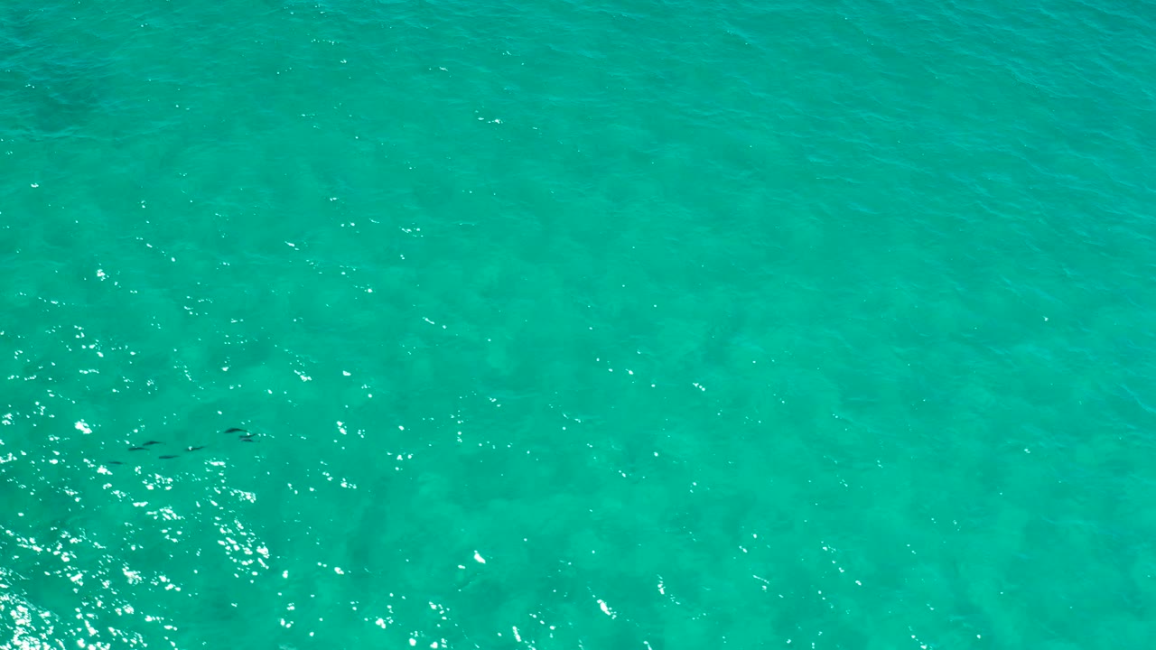 Top-down view of Los Cabos turquoise water with a small dark fish group toward the lower-right portion and scattered surface shimmer, no visible people.