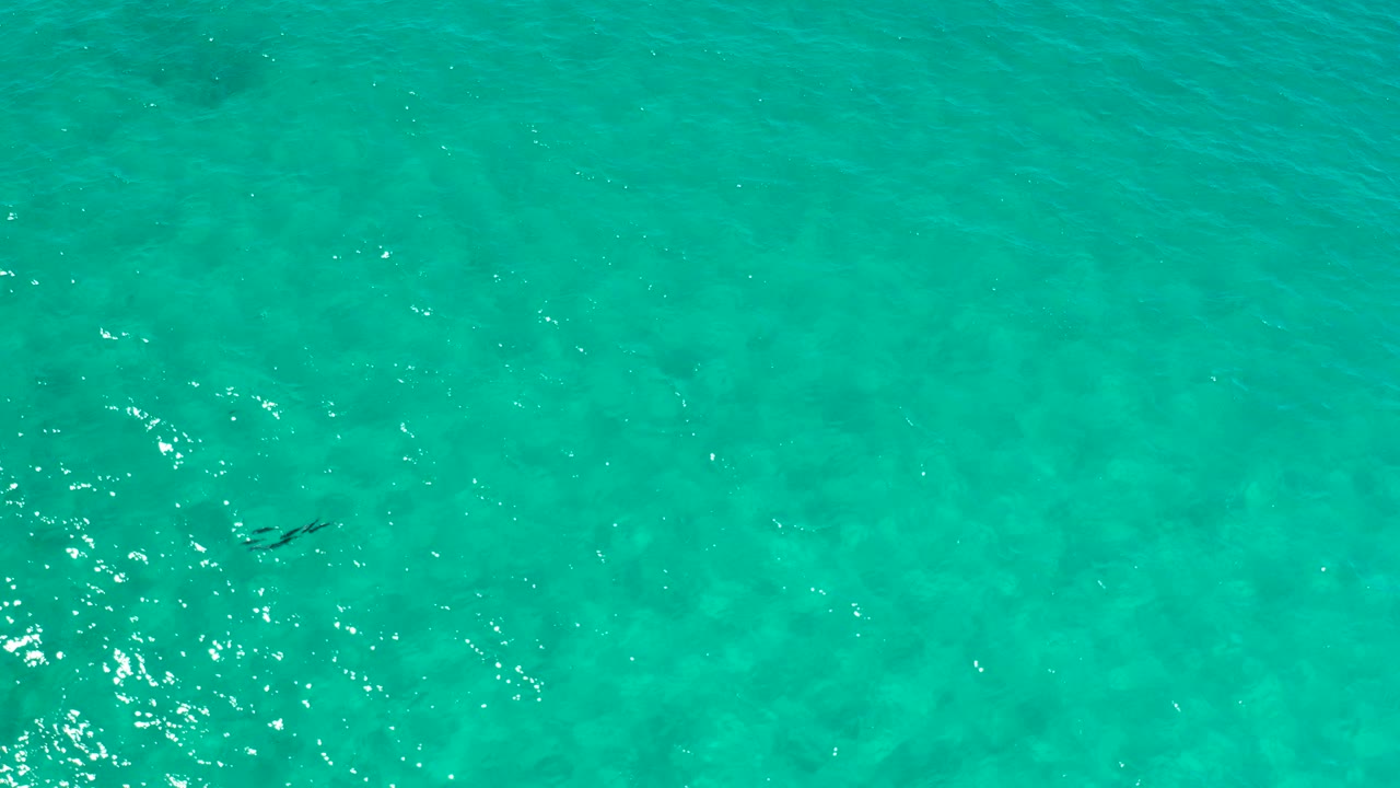 Overhead turquoise seawater with sun glints and faint seabed texture.