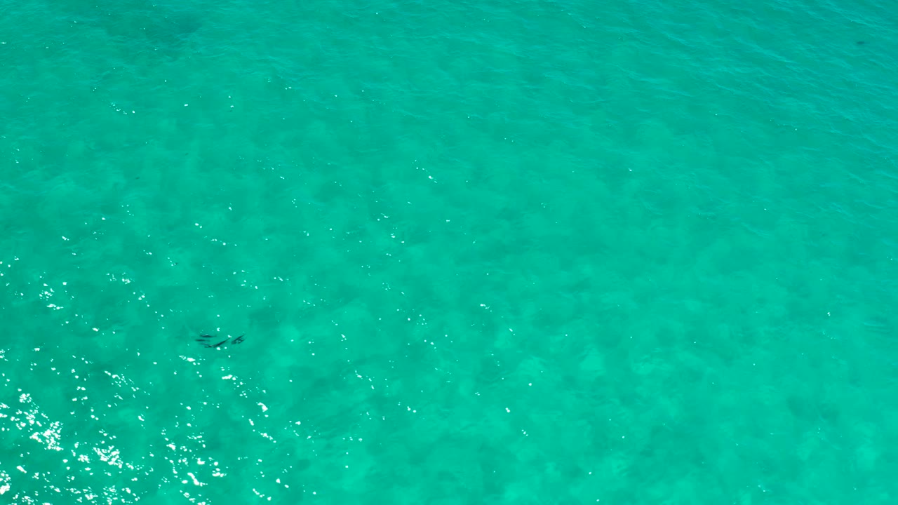 Turquoise Los Cabos seawater fills the frame, with brighter clustered sunlight reflections and no visible people.