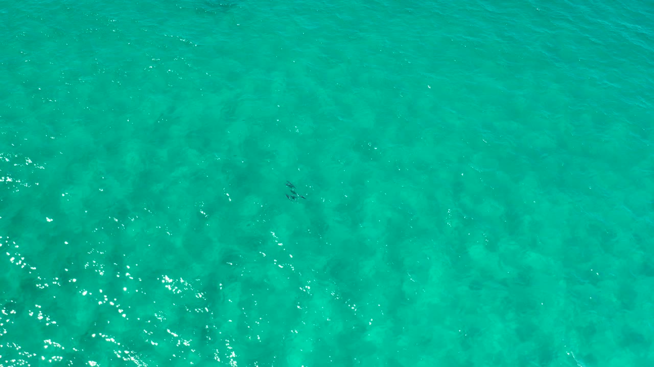 Overhead view of turquoise-green seawater in Los Cabos, Mexico, with faint dark fish shapes under the surface and no visible people.
