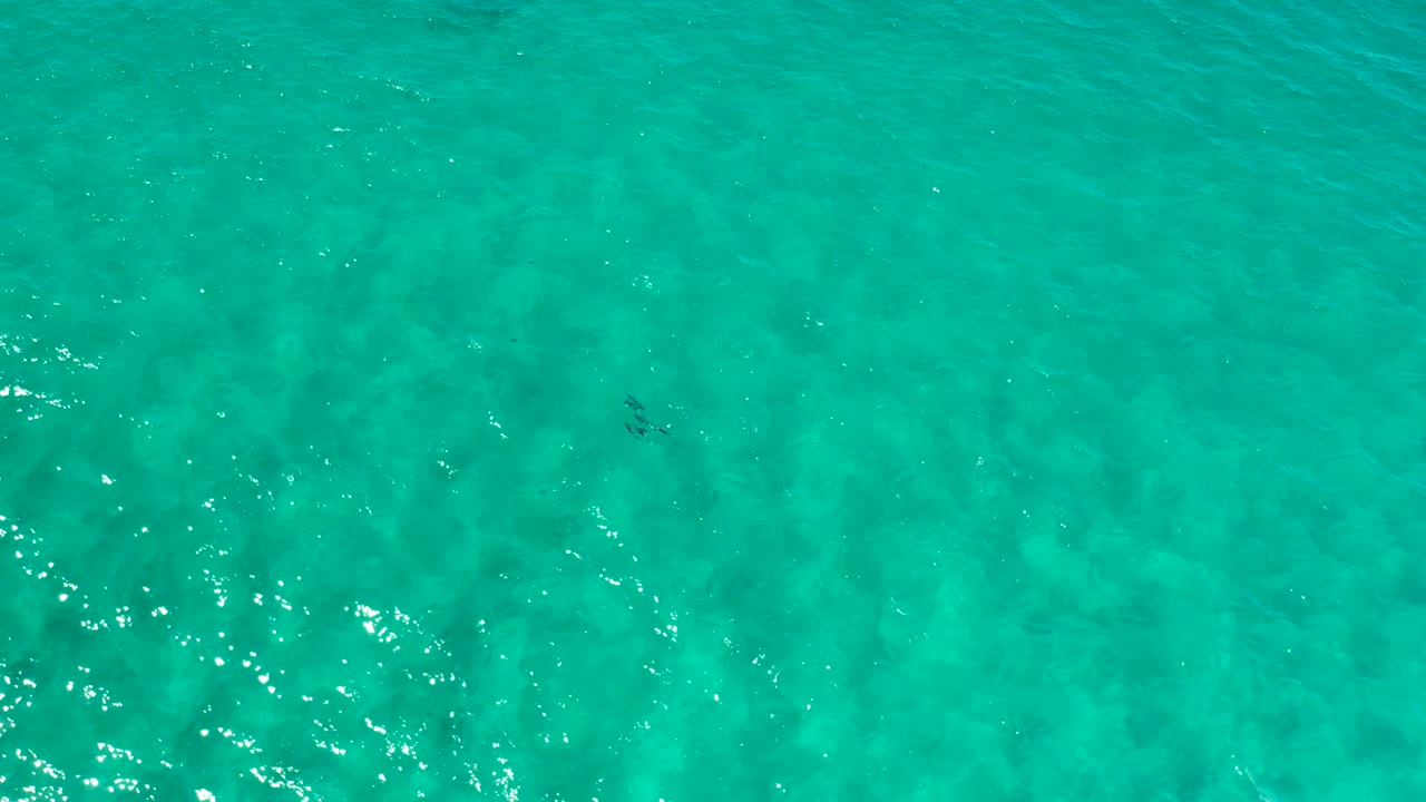 Clear green-blue water fills the Los Cabos frame, with subtle fish silhouettes and scattered sunlight highlights across the ripples, no visible people.