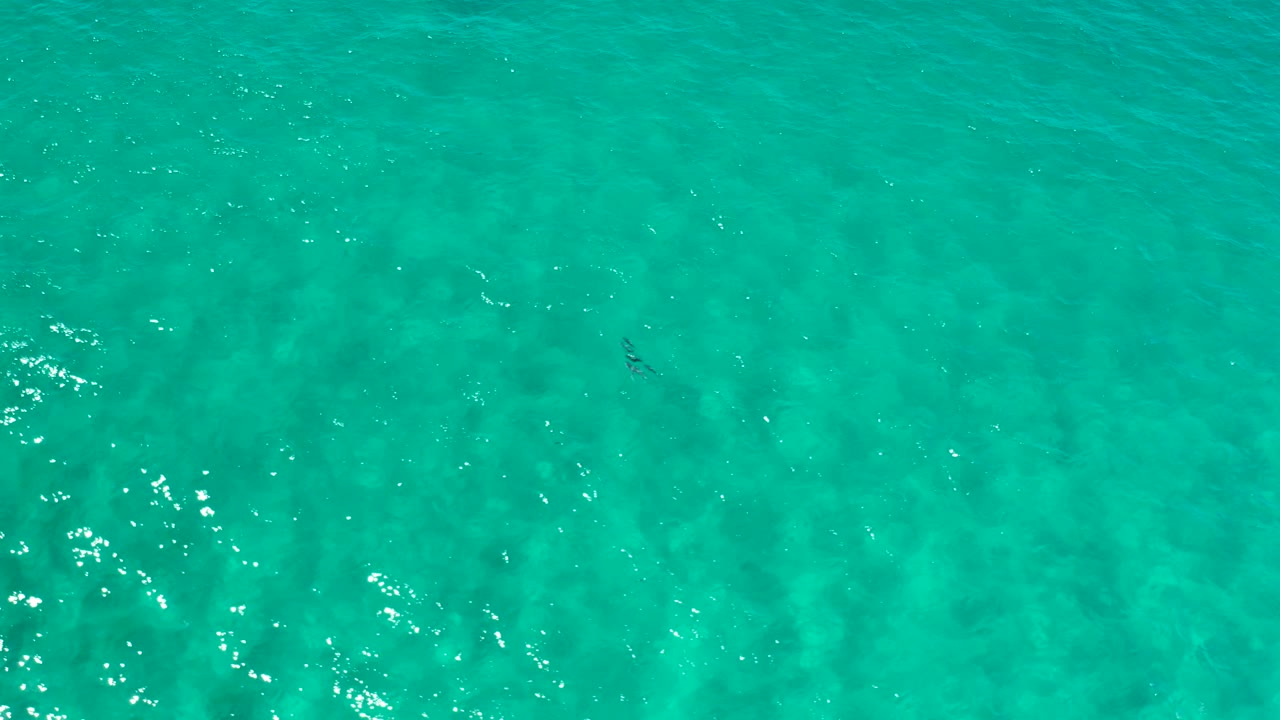 Bright turquoise seawater in Los Cabos shows tiny dark fish marks near the middle of the overhead frame, with no boats, shore, or visible people.