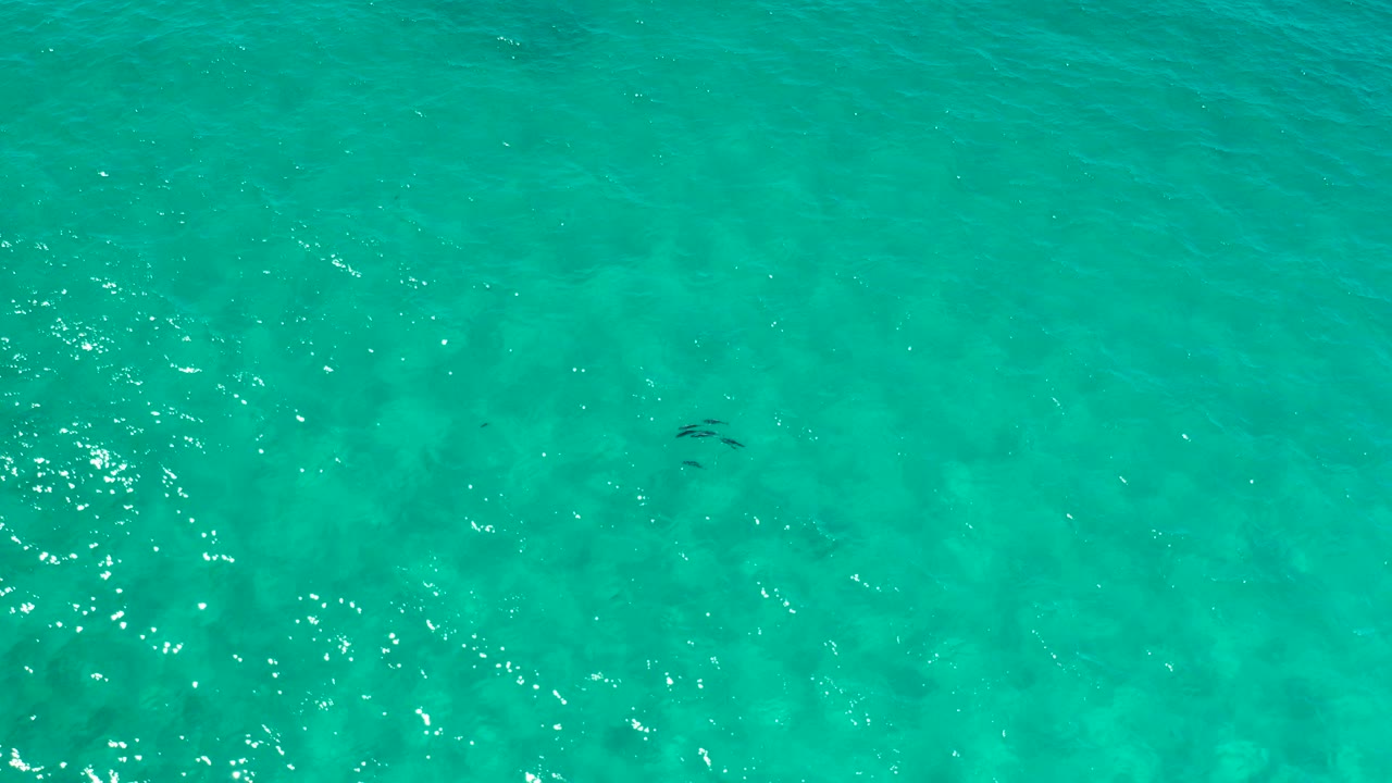 Overhead turquoise ocean with sunlight reflections