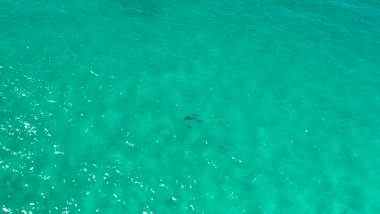 Top-down Los Cabos ocean frame with clear turquoise water, faint darker patches, small dark underwater shapes, and no visible people.