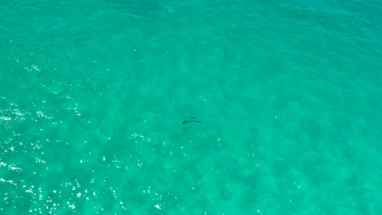 Aerial Los Cabos water view with a vertical cluster of sun sparkle across the turquoise surface and no visible people.