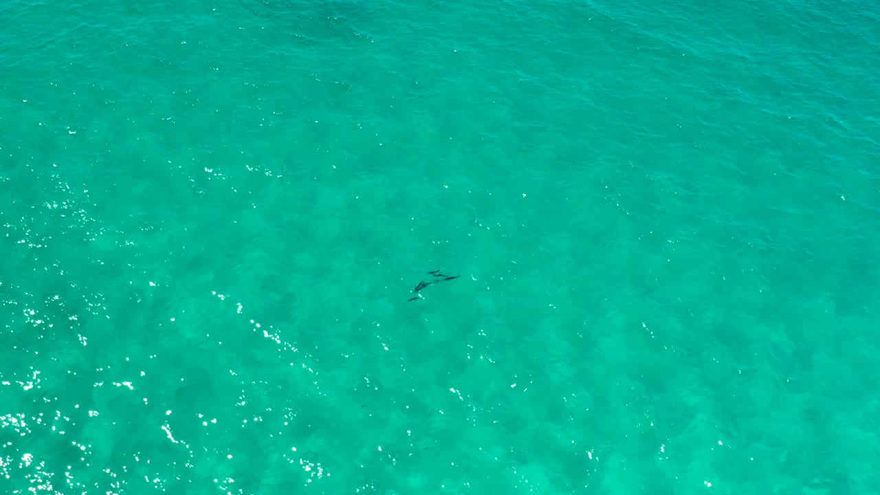 High overhead view of open turquoise water in Los Cabos, Mexico, with faint submerged patches and no visible people or structures.