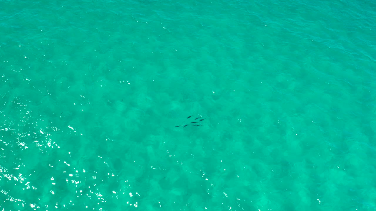 Overhead turquoise seawater with ripples and a small dark cluster below the surface.