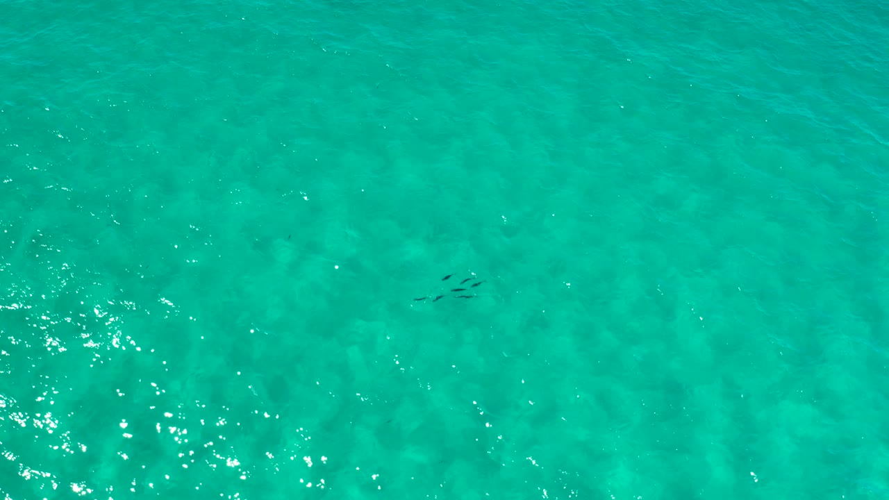 Clear turquoise water in Los Cabos, Mexico, with brighter surface sparkle, subtle darker patches below, a small dark cluster higher in frame, and no visible people.