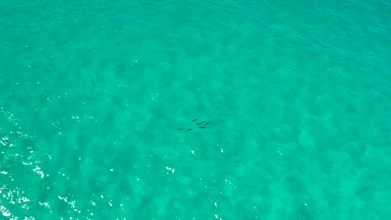 Top-down sea surface in Los Cabos, Mexico, showing even turquoise color, faint underwater texture, a small dark cluster near center-left, and no visible people.