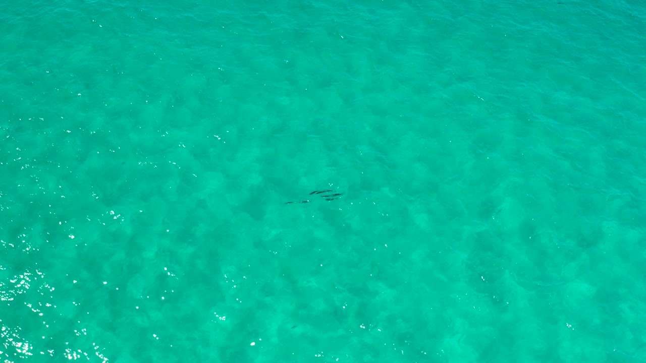 Turquoise ocean surface in Los Cabos, Mexico, with a brighter patch of sun sparkle, mottled depth variations, a small dark cluster left of center, and no visible people.
