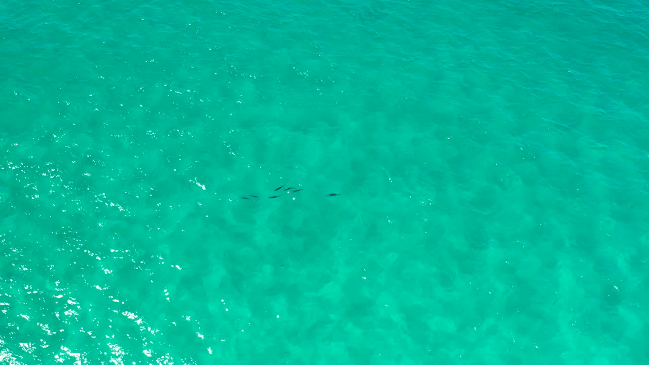 Overhead Los Cabos ocean surface with green-blue water, small ripples, brighter reflections near the lower left, and no visible people.