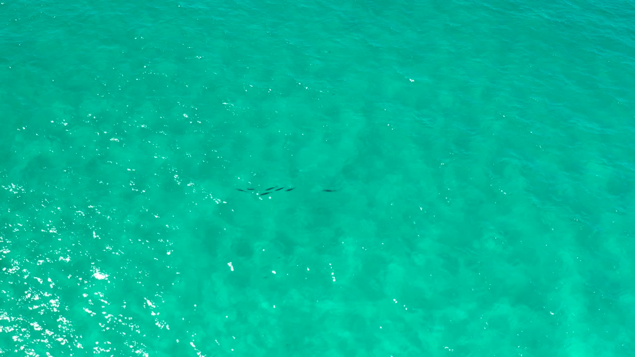 Turquoise ocean surface in Los Cabos, Mexico, seen from above with a denser cluster of sun sparkle on the left and no visible people.