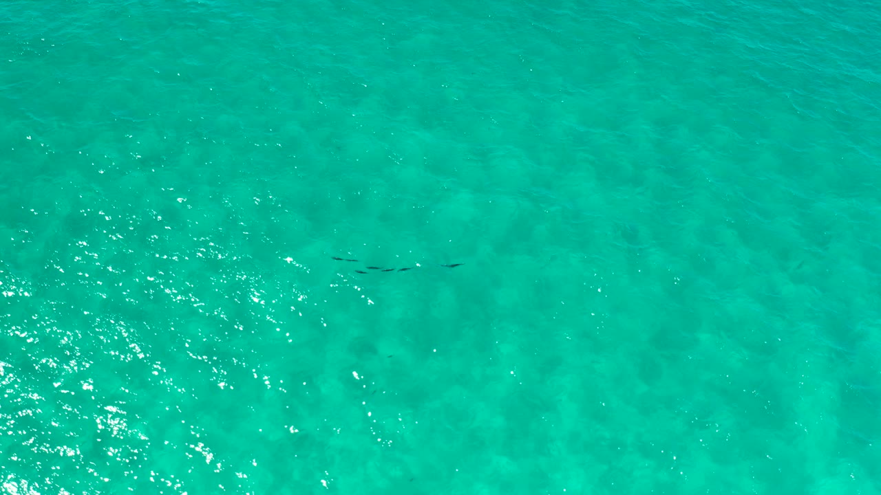 Overhead Los Cabos water frame with green-turquoise surface, faint darker streaks under the water, soft ripples, and no visible people.