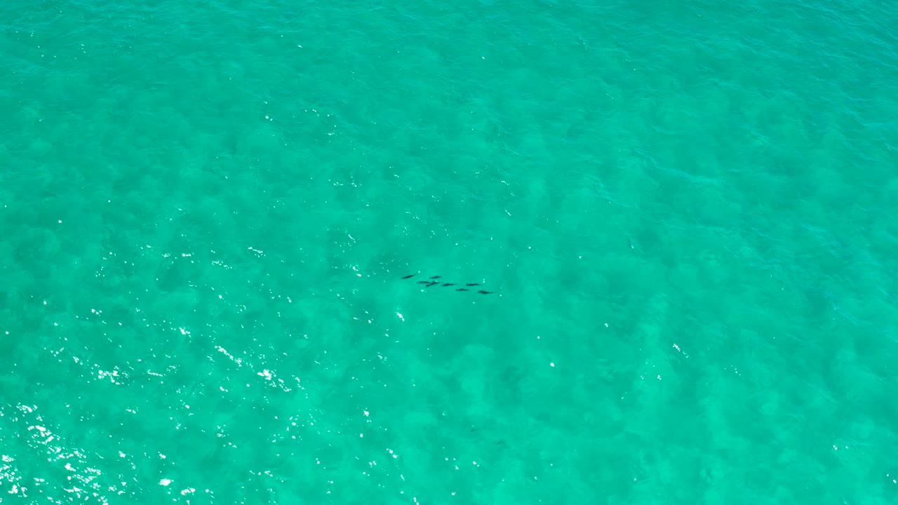 Second frame shows Los Cabos green ocean from above, with a darker cluster under the water and no visible people.