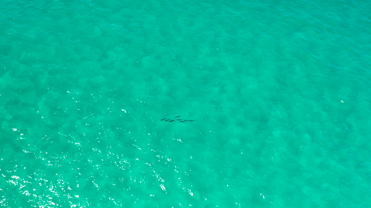 Fourth frame shows a broad overhead field of turquoise Los Cabos ocean with scattered light highlights and no visible people.